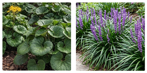 best plants for pools shade